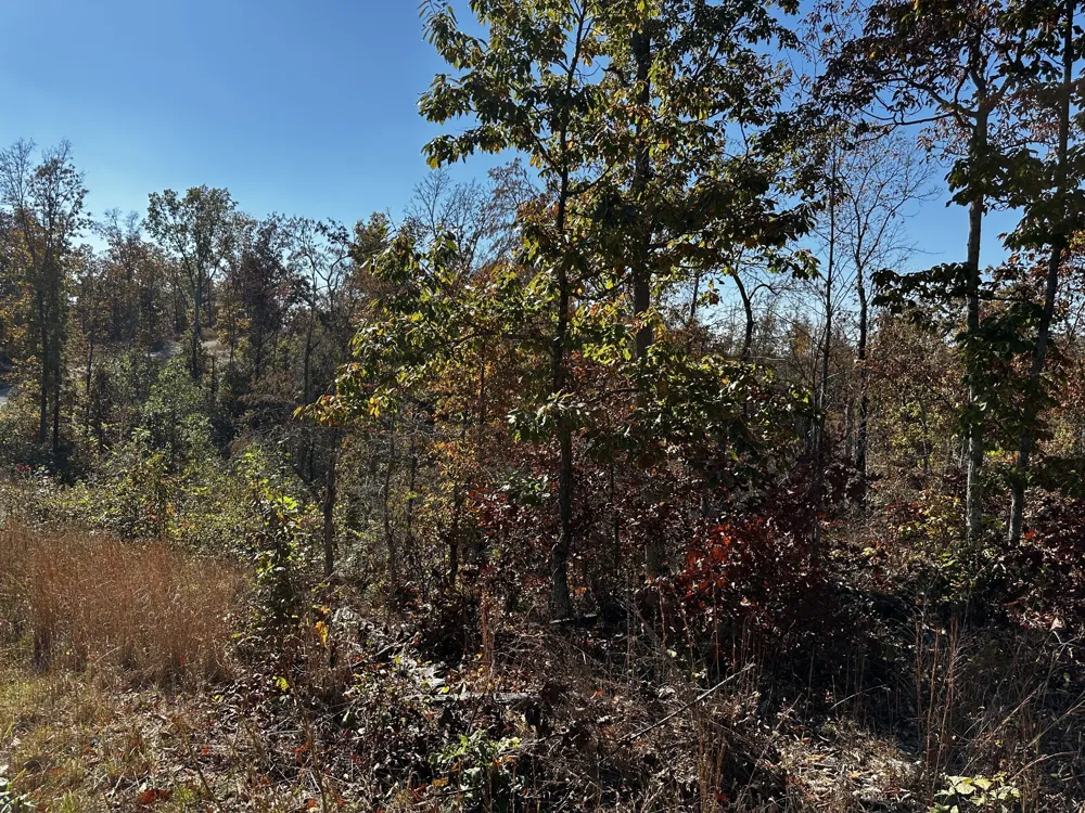 0 Ridge Top Rd Stewart, TN 37175