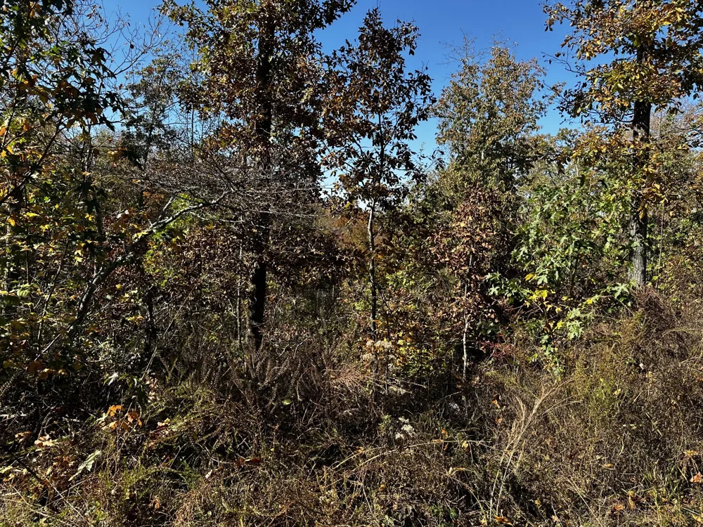 0 Ridge Top Rd Stewart, TN 37175