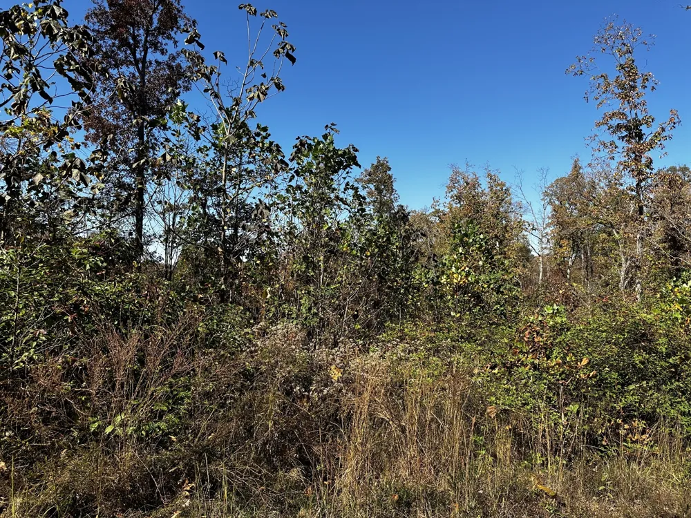 0 Ridge Top Rd Stewart, TN 37175