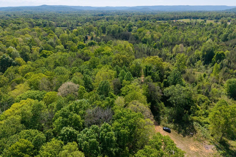 0 Walker Rd Rock Island, TN 38581