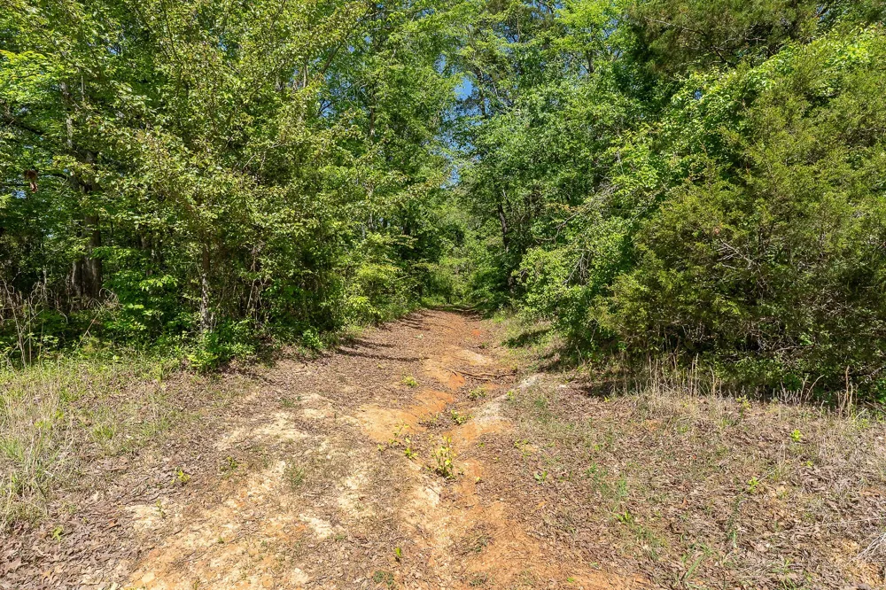 0 Walker Rd Rock Island, TN 38581