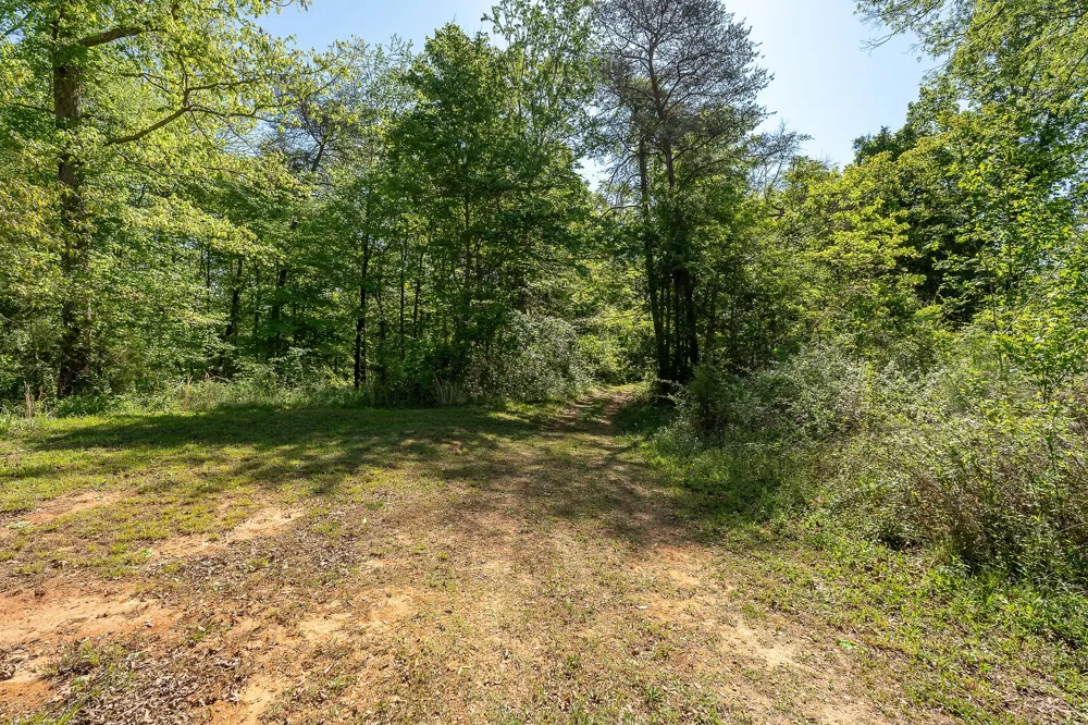 0 Walker Rd Rock Island, TN 38581