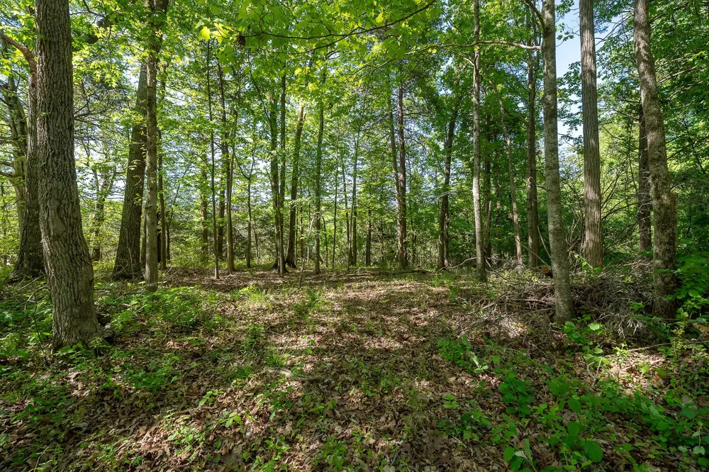 0 Walker Rd Rock Island, TN 38581