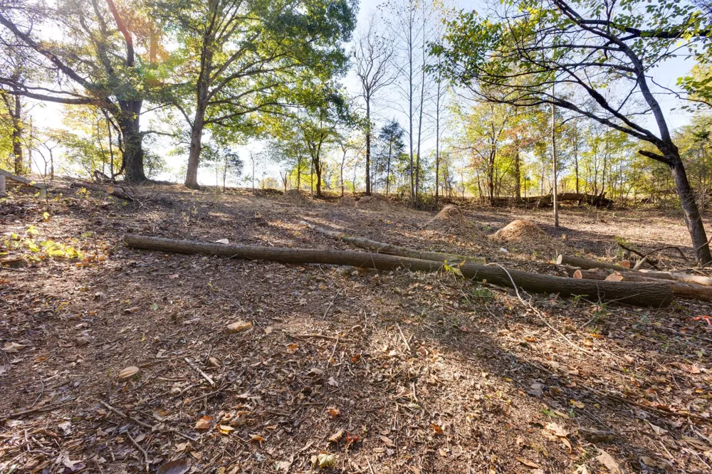 1374 Deal Rd Burns, TN 37029