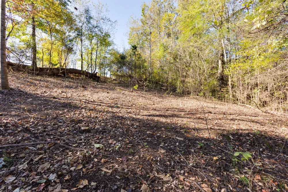 1374 Deal Rd Burns, TN 37029