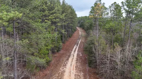 Red Oak Lane