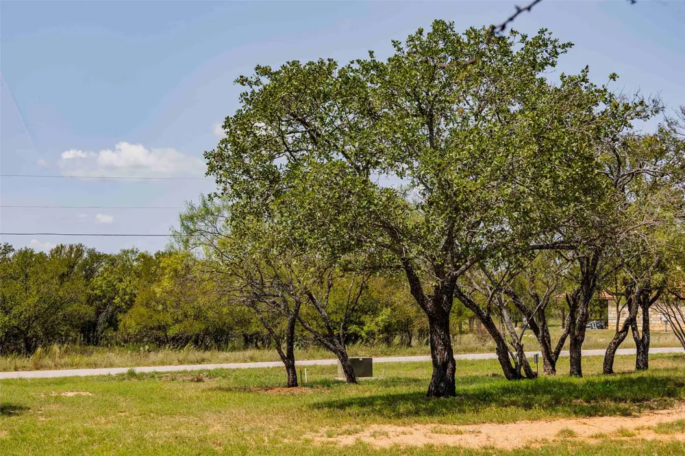 85 Link Drive Kingsland, TX 78639