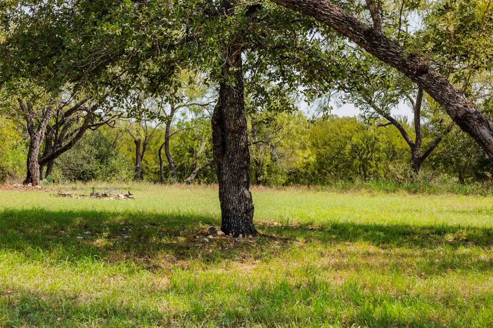 85 Link Drive Kingsland, TX 78639