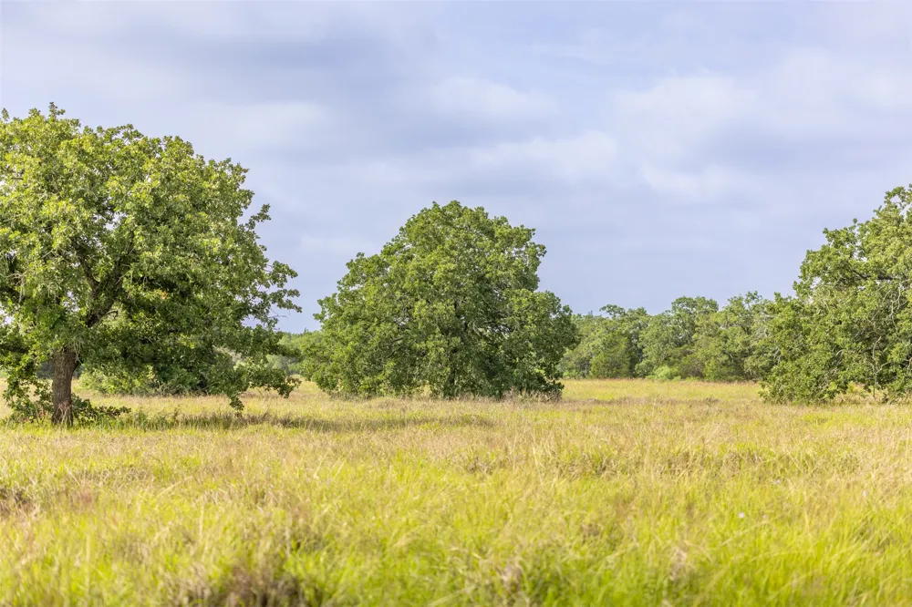 US Highway 77 S Giddings, TX 78942