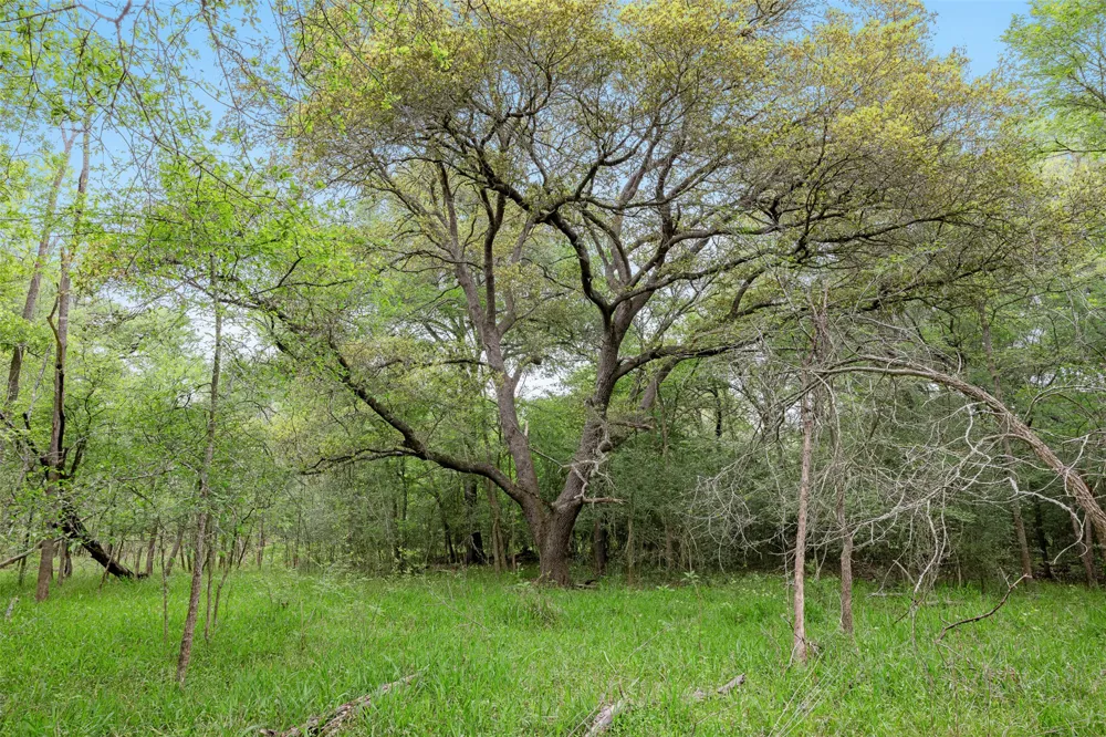 County Road 433 Dime Box, TX 77853