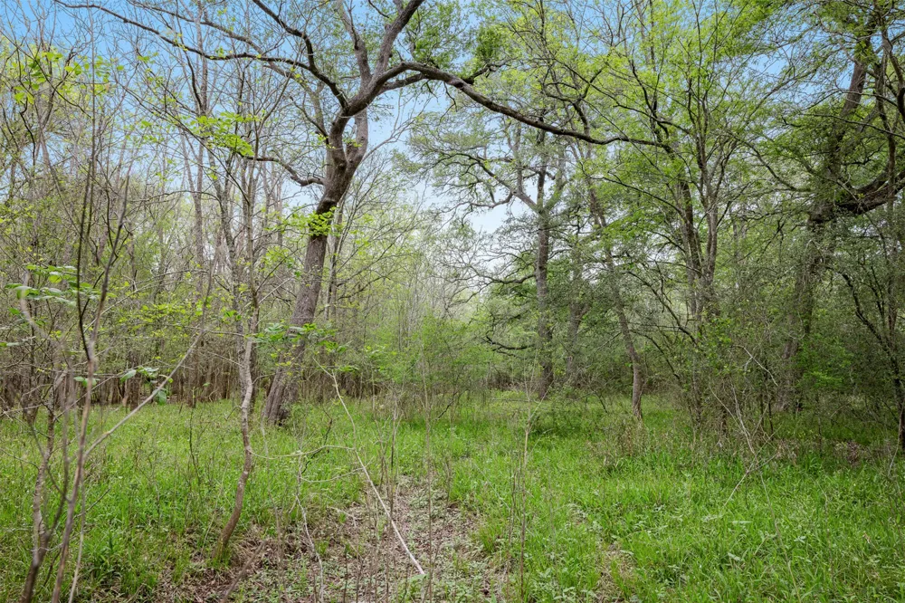 County Road 433 Dime Box, TX 77853