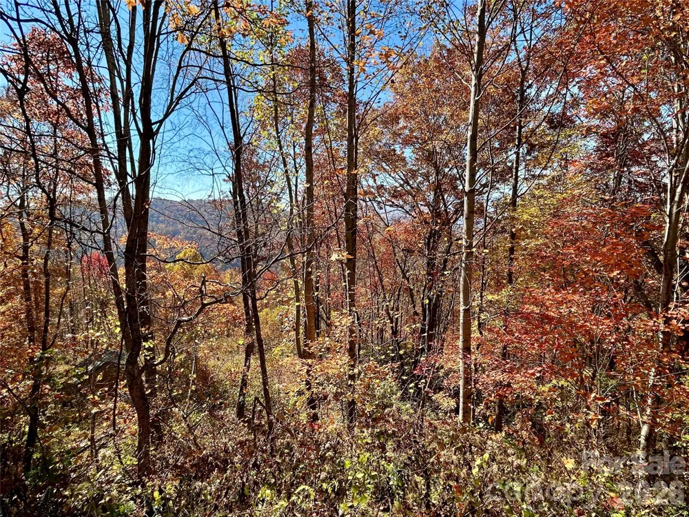 0 Grizzly Ridge #57 Bryson City, NC 28713