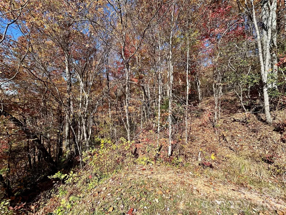 0 Grizzly Ridge #57 Bryson City, NC 28713