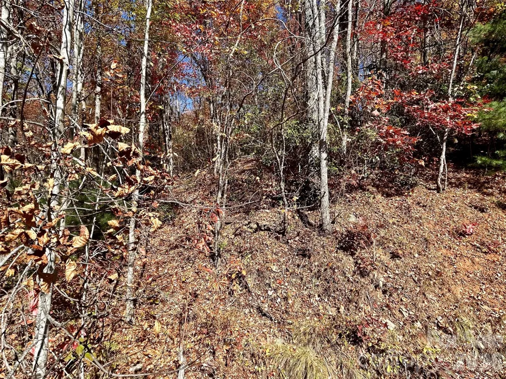 0 Grizzly Ridge #57 Bryson City, NC 28713