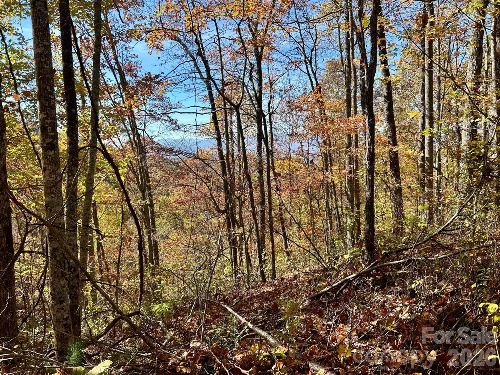 0 Owle View #30 Bryson City, NC 28713