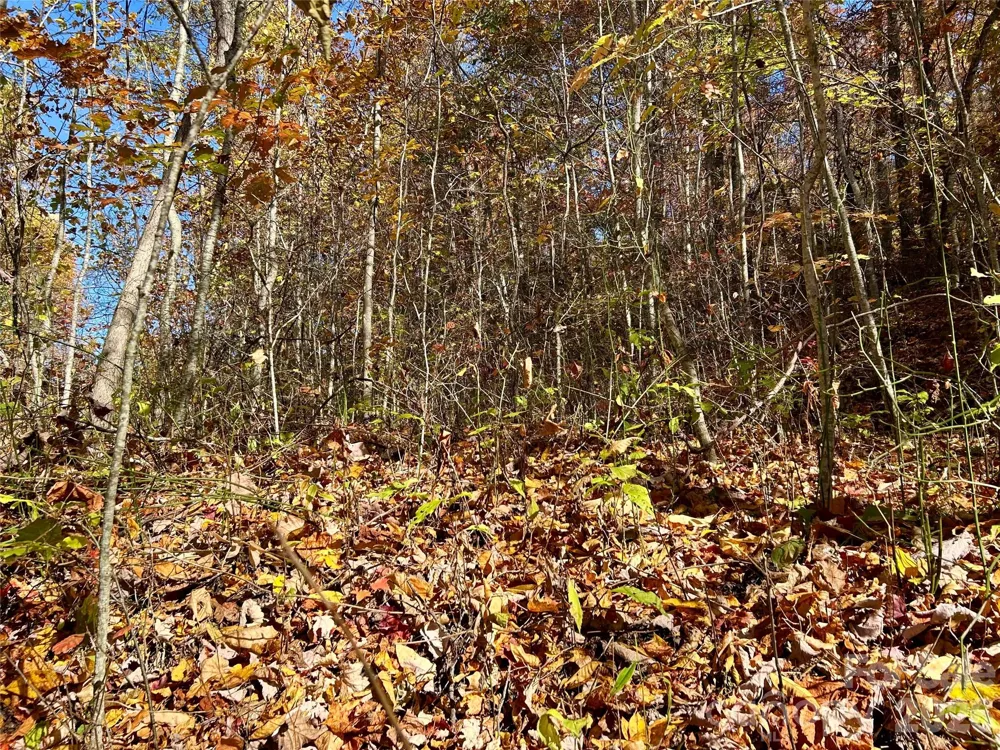 0 Owle View #30 Bryson City, NC 28713