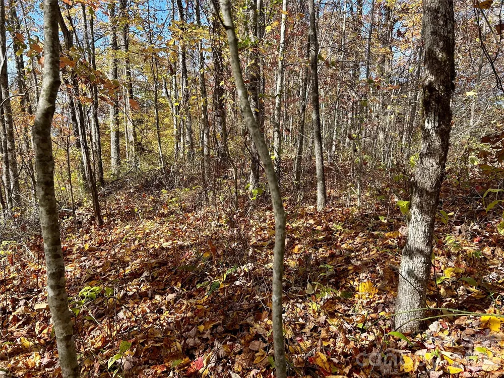 0 Owle View #30 Bryson City, NC 28713