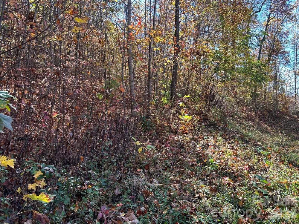 0 Owle View #30 Bryson City, NC 28713
