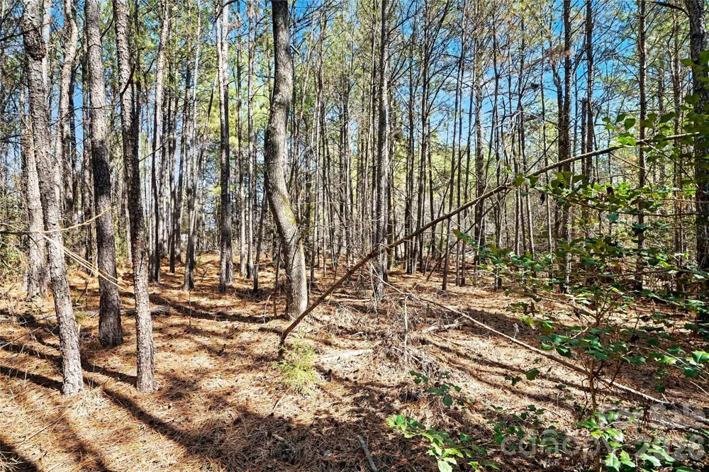 00 Three Crow Road #D-2B Lancaster, SC 29720