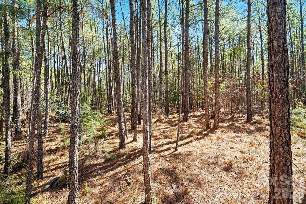 00 Three Crow Road #D-2B Lancaster, SC 29720
