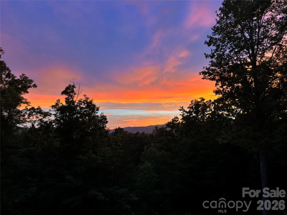 631 Mountain Parkway Mill Spring, NC 28756
