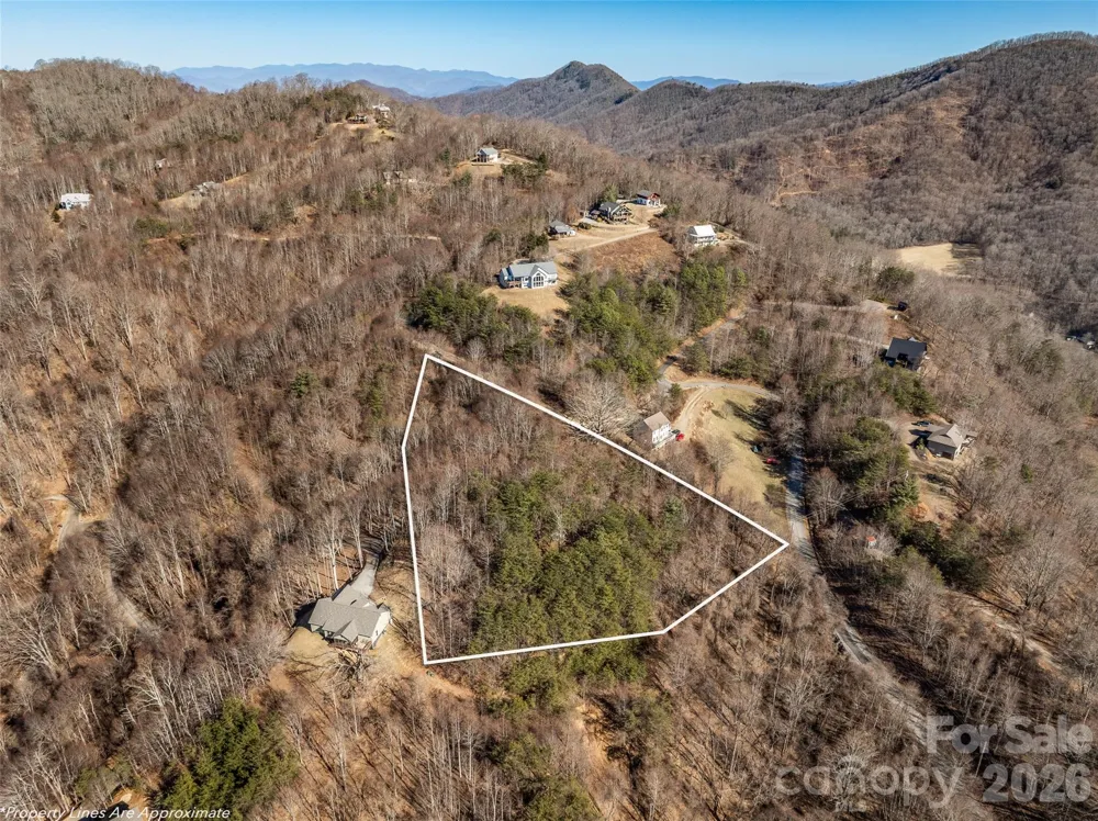 9999 Hunters Ridge Drive Canton, NC 28716