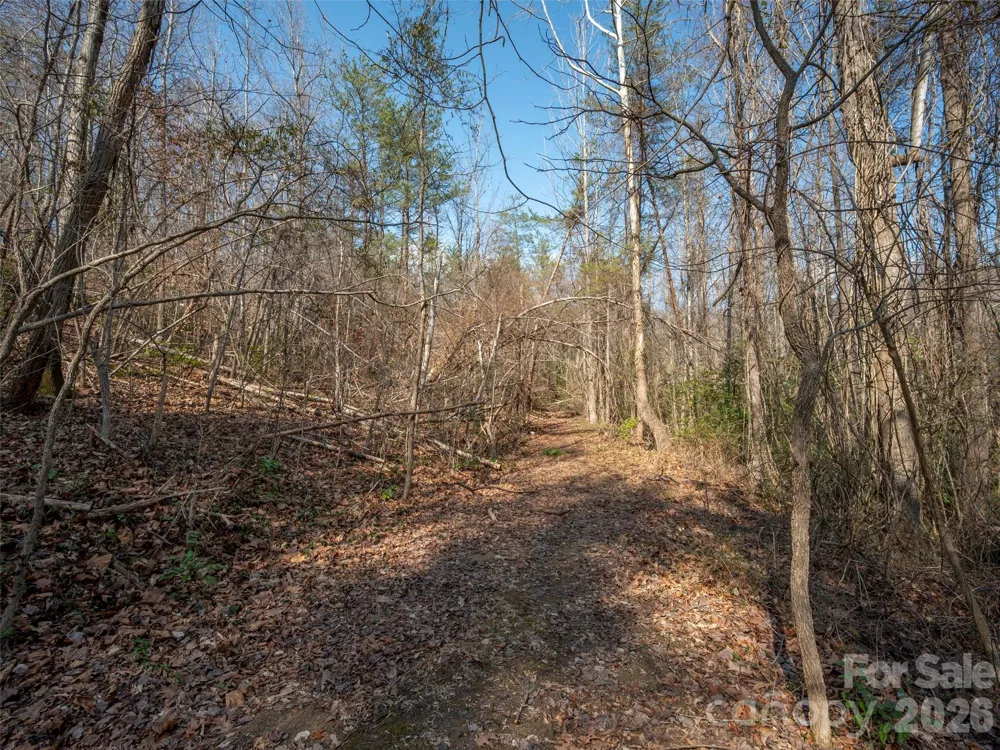 0000 Judge Road Tryon, NC 28782