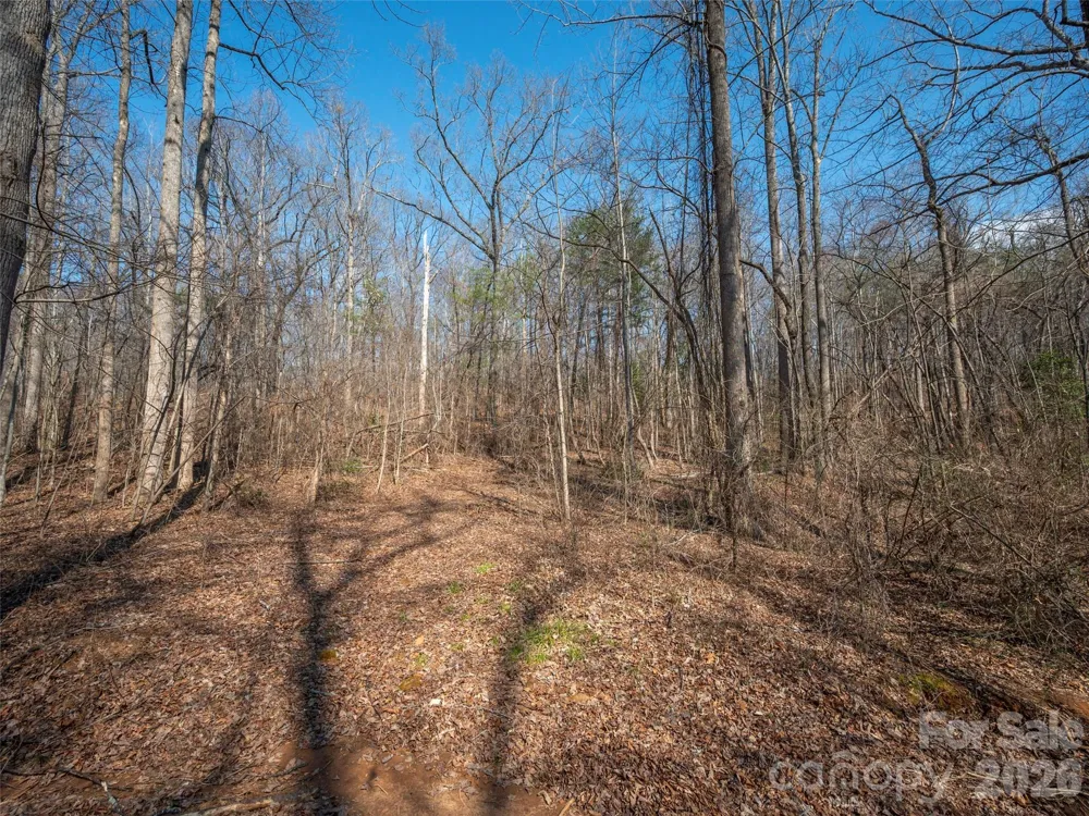 0000 Judge Road Tryon, NC 28782