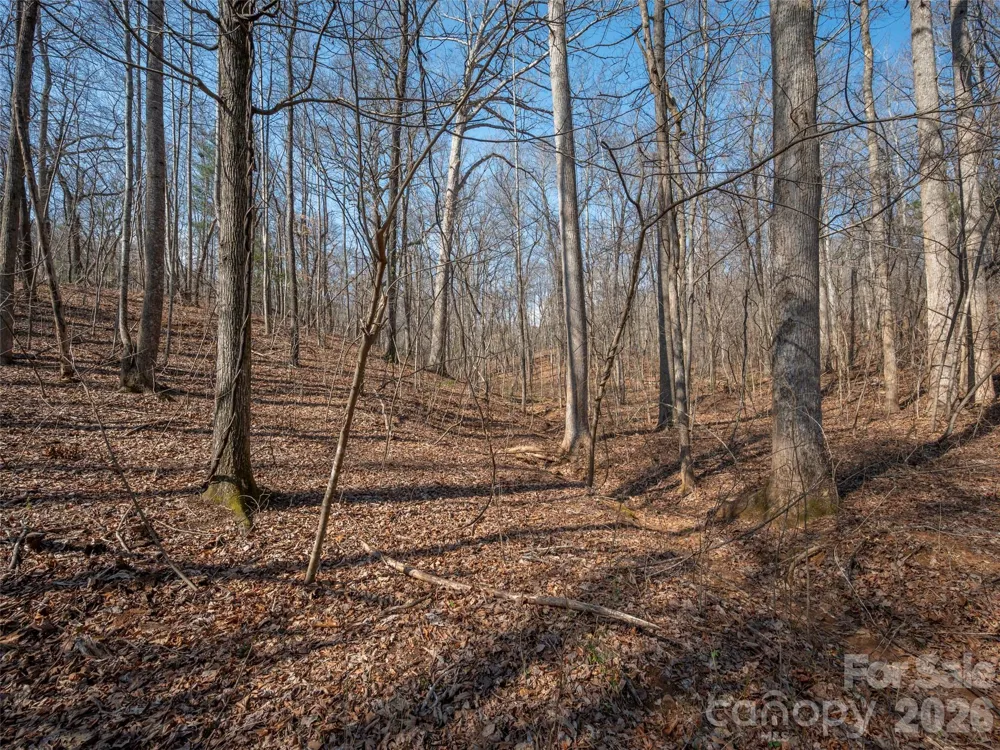 0000 Judge Road Tryon, NC 28782