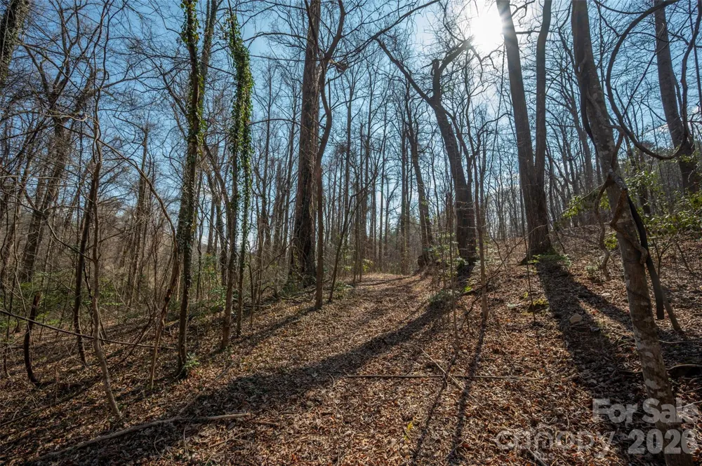 0000 Judge Road Tryon, NC 28782