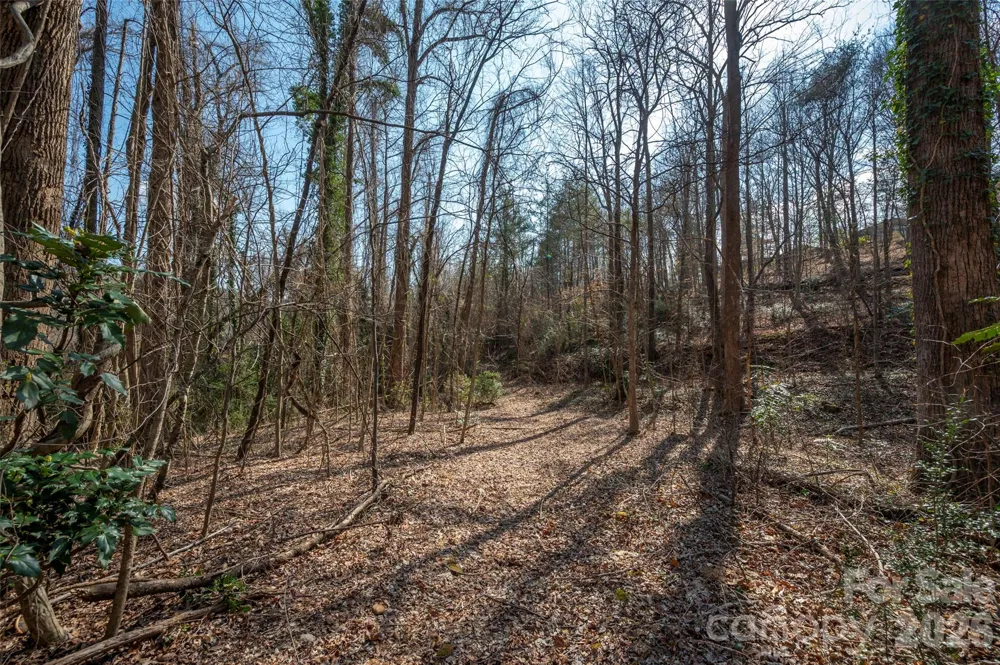 0000 Judge Road Tryon, NC 28782