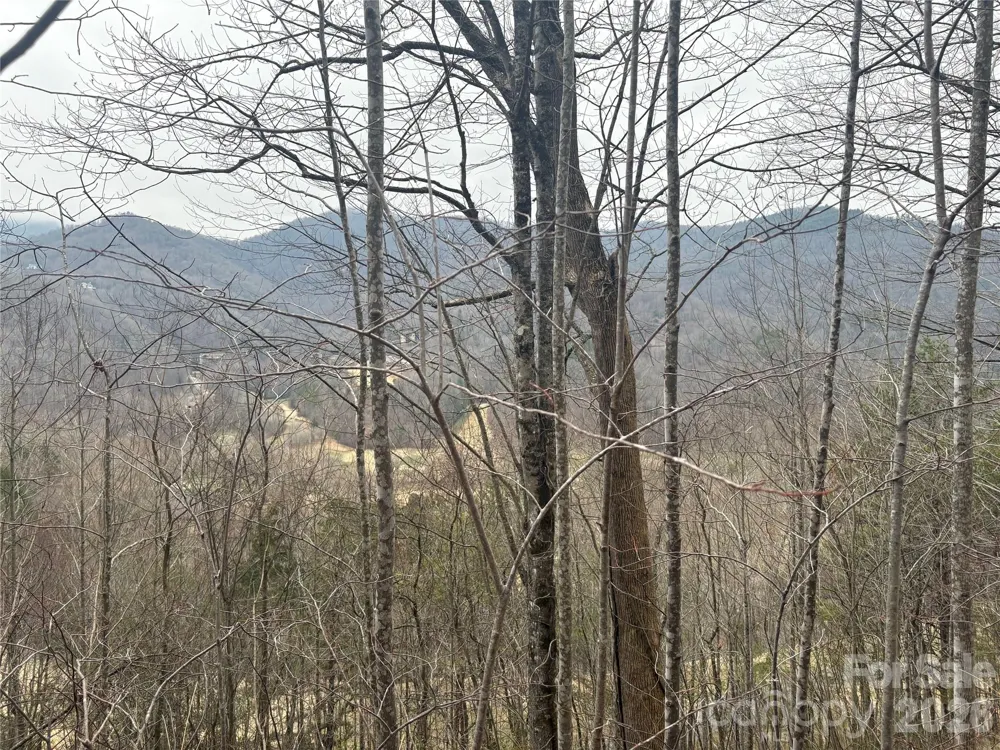 00 Country Club Drive #11 Whittier, NC 28789
