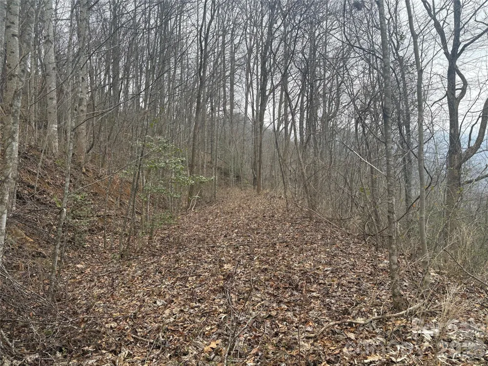 00 Country Club Drive #11 Whittier, NC 28789