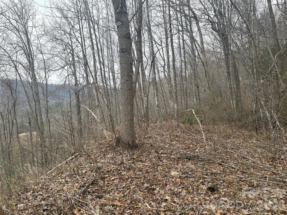 00 Country Club Drive #11 Whittier, NC 28789