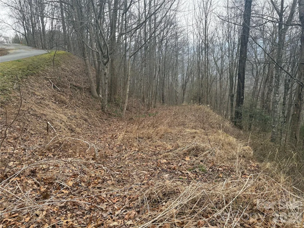 00 Country Club Drive #11 Whittier, NC 28789