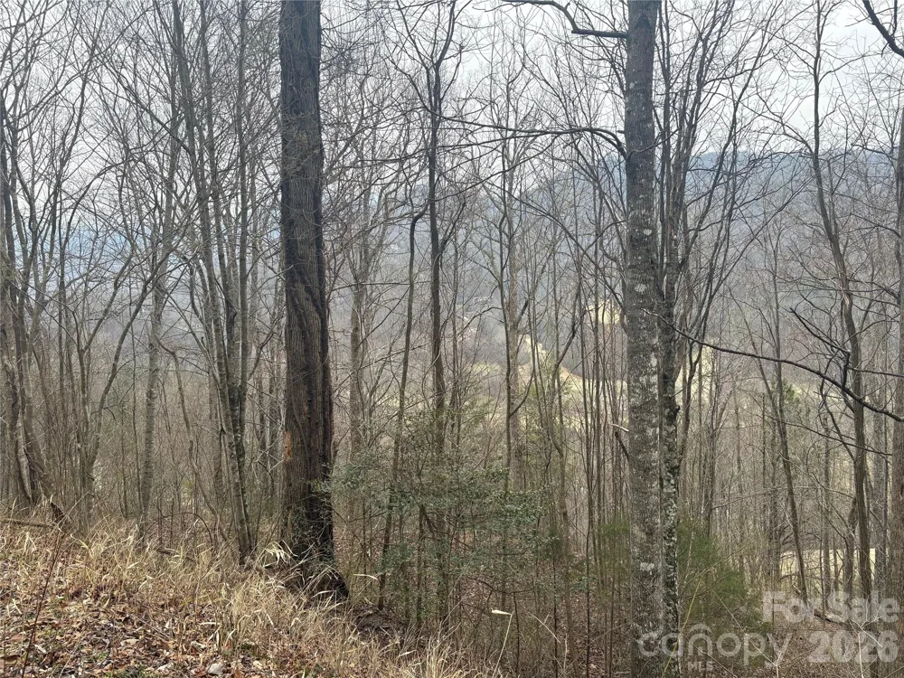 00 Country Club Drive #11 Whittier, NC 28789