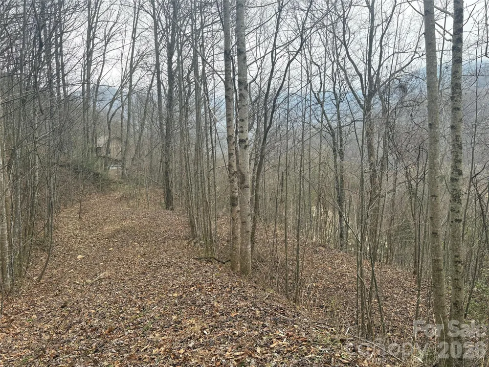 00 Country Club Drive #11 Whittier, NC 28789