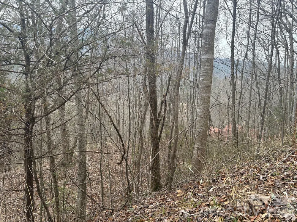 00 Country Club Drive #11 Whittier, NC 28789