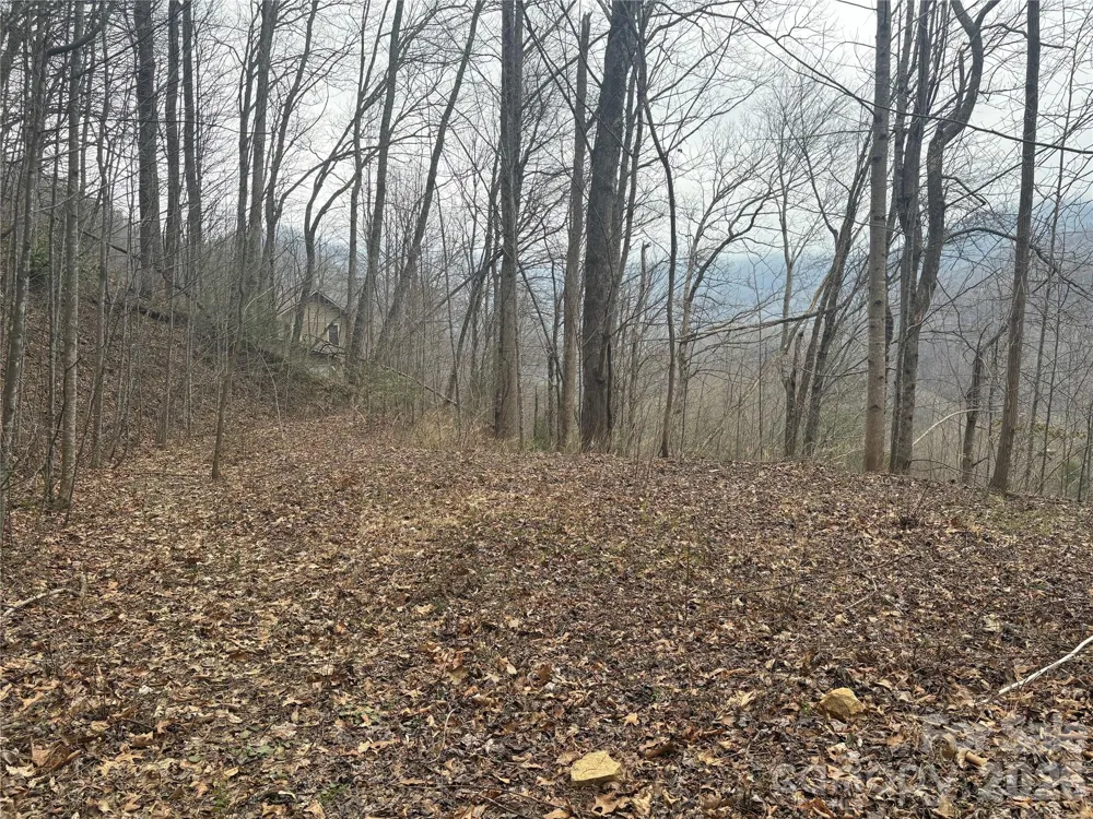 00 Country Club Drive #11 Whittier, NC 28789