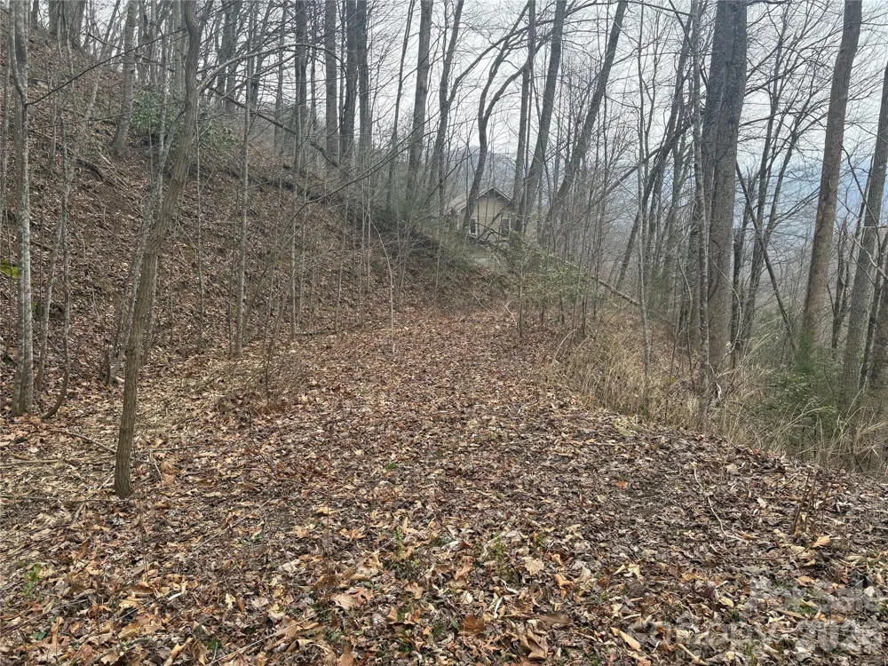 00 Country Club Drive #11 Whittier, NC 28789