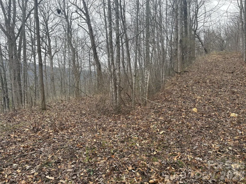 00 Country Club Drive #11 Whittier, NC 28789