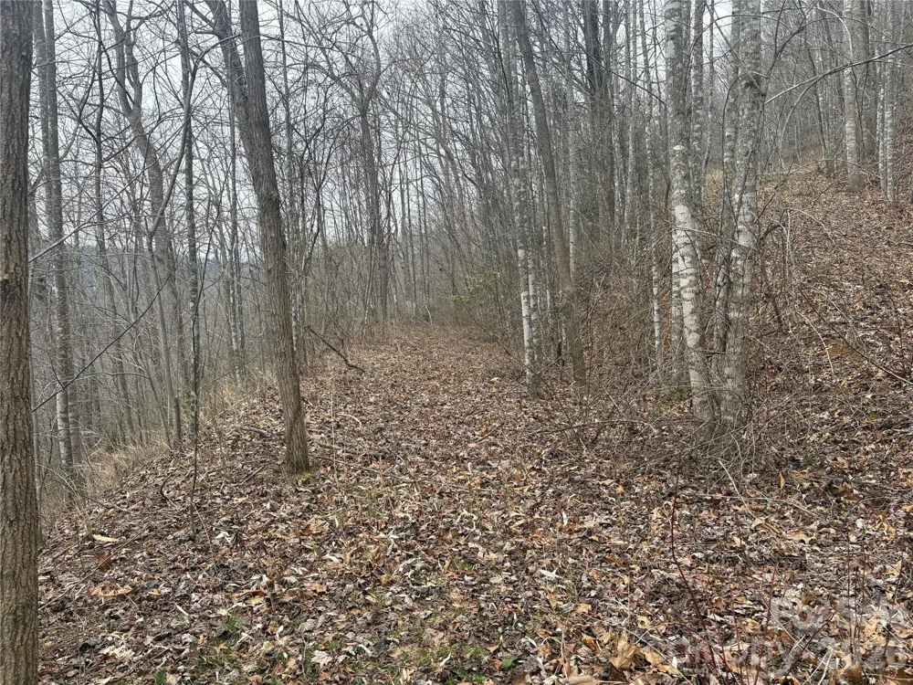 00 Country Club Drive #11 Whittier, NC 28789