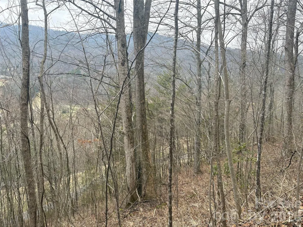 00 Country Club Drive #11 Whittier, NC 28789