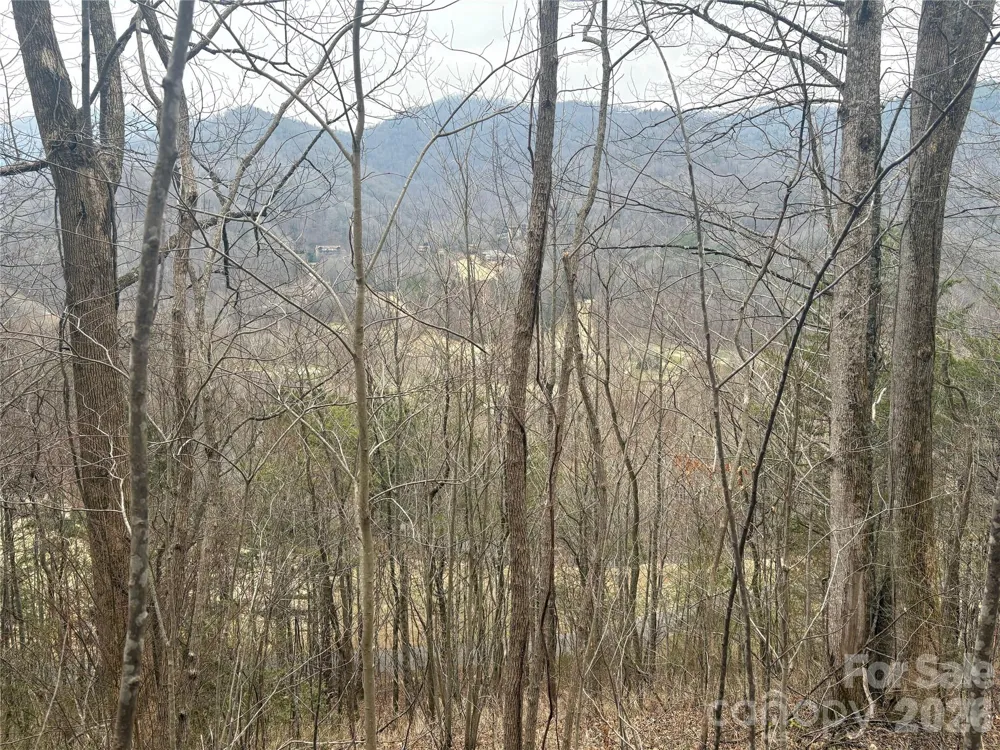 00 Country Club Drive #11 Whittier, NC 28789