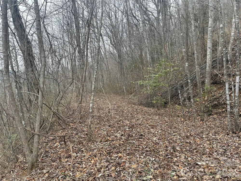 00 Country Club Drive #11 Whittier, NC 28789
