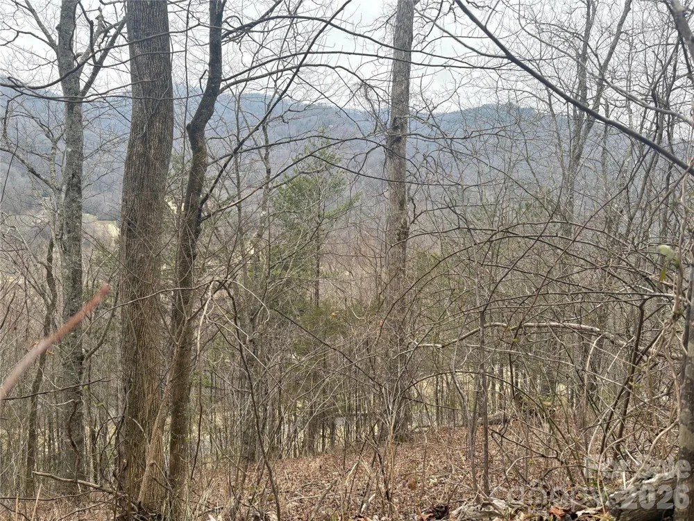 00 Country Club Drive #11 Whittier, NC 28789