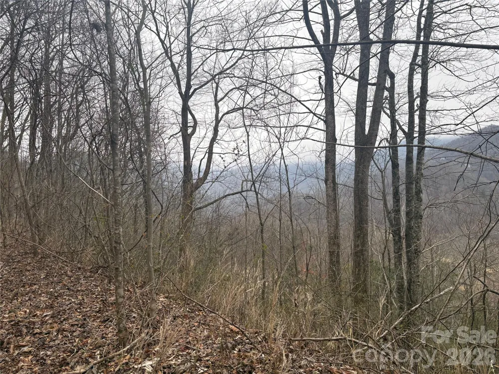 00 Country Club Drive #11 Whittier, NC 28789