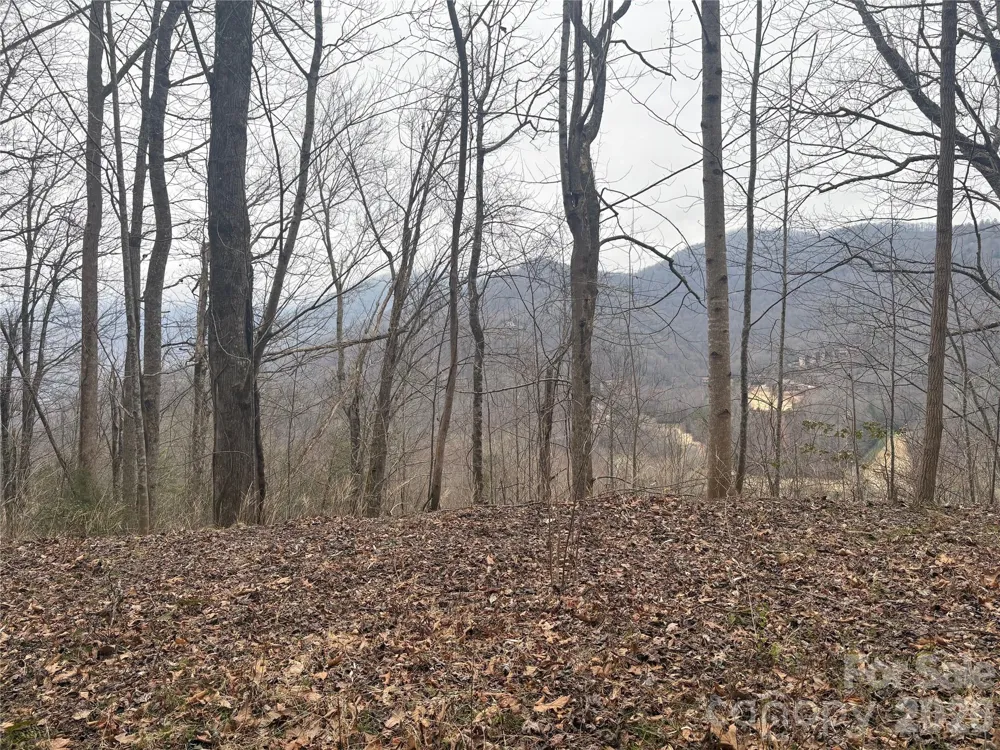 00 Country Club Drive #11 Whittier, NC 28789