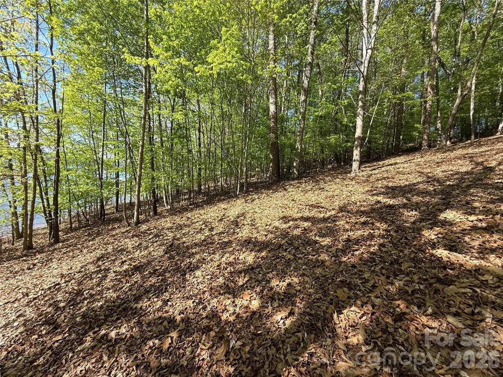 163 High Lake Drive Statesville, NC 28677