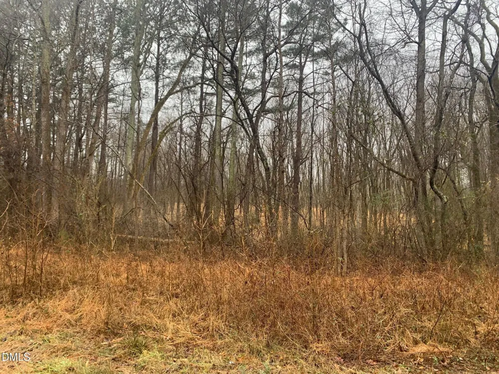 0 Rives Chapel Church Road Siler City, NC 27344